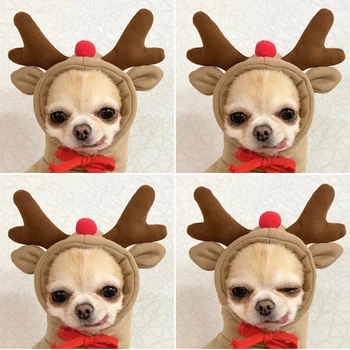 Зимна Сладък дрехи за кучета, палто с качулка с шарени Плодове кучета, Градинска топли дрехи за кученца, малки средни кучета, Коледа риза с качулка